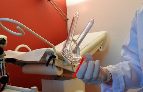 « C’est un véritable retour en arrière » : comment la pénurie de gynécologues menace la santé des femmes