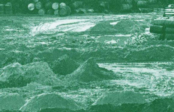 #AlertePollution : on est retournés à Sermaise, autrefois appelé le « village le plus pollué de France », où 2 000 fûts toxiques restent enfouis