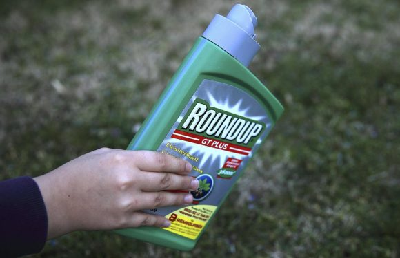 VIDEO. « Je pensais que je serais moins contaminé » : 45 personnes portent plainte après la détection de glyphosate dans leur urine