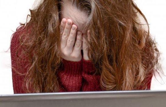 INFO FRANCEINFO. 22% des jeunes majeurs disent avoir été la cible de harcèlement en ligne, selon un sondage