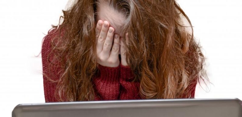 INFO FRANCEINFO. 22% des jeunes majeurs disent avoir été la cible de harcèlement en ligne, selon un sondage