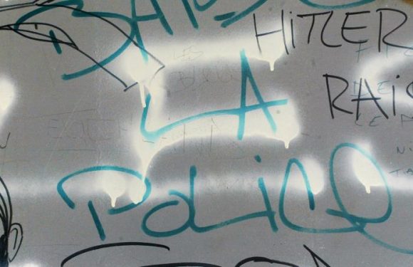 Des députés veulent que l&rsquo;antisionisme soit reconnu comme un délit au même titre que l&rsquo;antisémitisme