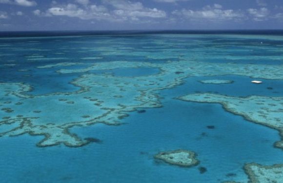 L&rsquo;Australie envisage de déverser un million de tonnes de boues près de la Grande Barrière de corail