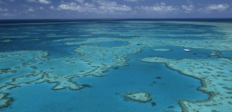 L’Australie envisage de déverser un million de tonnes de boues près de la Grande Barrière de corail