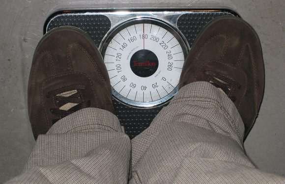 Quand l’obésité des services publics pénalise notre industrie