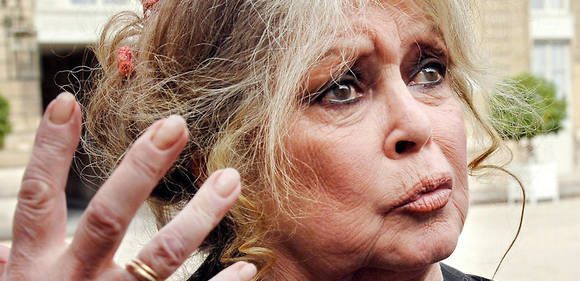 Européennes : Brigitte Bardot se lance