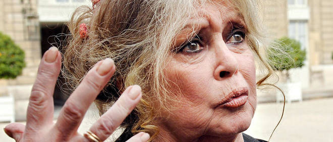 Européennes : Brigitte Bardot se lance