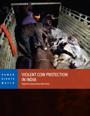 Inde : Attaques contre des minorités sous prétexte de « protection de vaches »