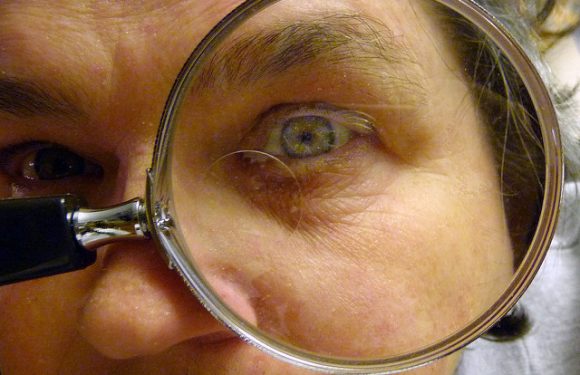 La vision comme modèle mental