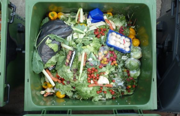 Gaspillage alimentaire : Too Good To Go veut changer la législation