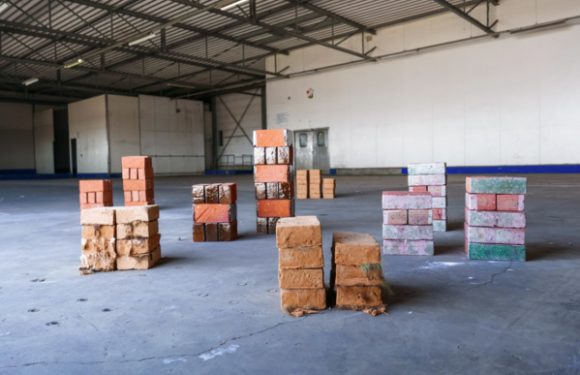 Cheveux, urine, fumier… Des briques écologiques étonnantes