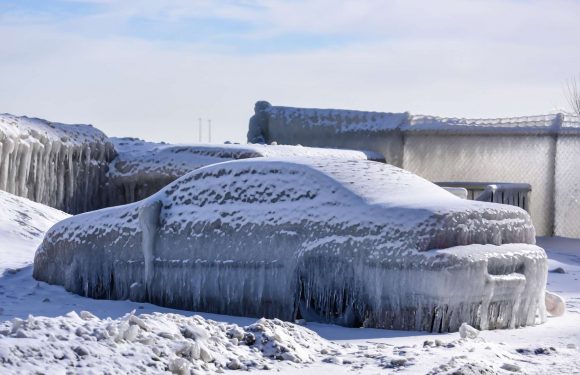 Vague de froid aux États-Unis : les effets inattendus du vortex polaire