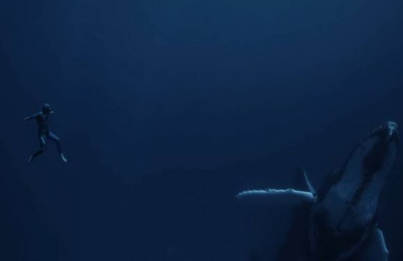 Vidéo : le nouveau film d’apnée éblouissant de Guillaume Néry