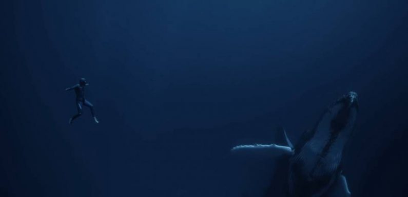 Vidéo : le nouveau film d’apnée éblouissant de Guillaume Néry