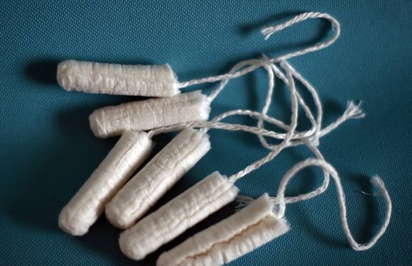 Tampons et serviettes : toujours des substances indésirables, déplore 60 Millions de consommateurs