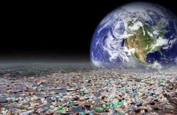 « Une vie après le plastique est possible »