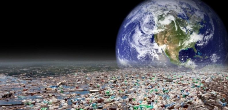 « Une vie après le plastique est possible »