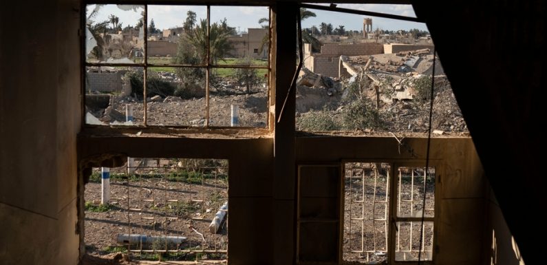 Emmener des touristes en Syrie: l’initiative controversée d’un voyagiste français