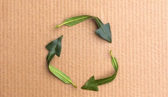 Recycler tous les emballages alimentaires, c’est désormais possible
