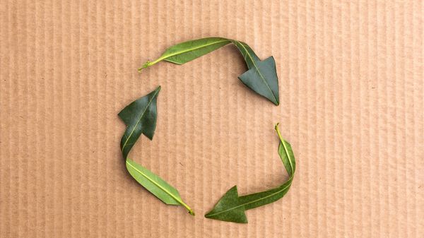 Recycler tous les emballages alimentaires, c’est désormais possible