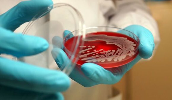 La plus longue expérience scientifique jamais planifiée à ce jour : 500 ans