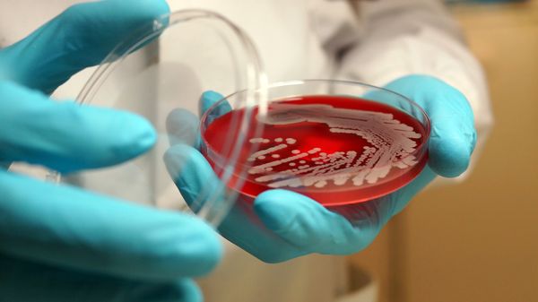 La plus longue expérience scientifique jamais planifiée à ce jour : 500 ans