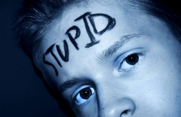 L’Internet français face aux théoriciens du simplisme