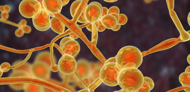 Cigarette électronique : un risque de champignons dans la bouche