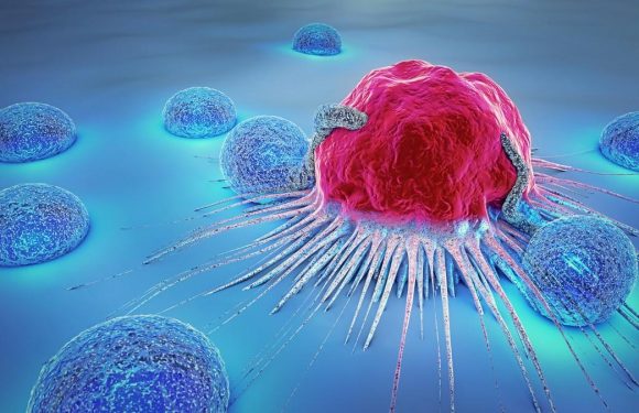 Les nanoparticules favoriseraient la propagation du cancer dans le corps