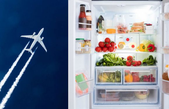 « Arrêtez de critiquer vos amis qui prennent l&rsquo;avion, fâchez-vous plutôt contre votre frigo! »