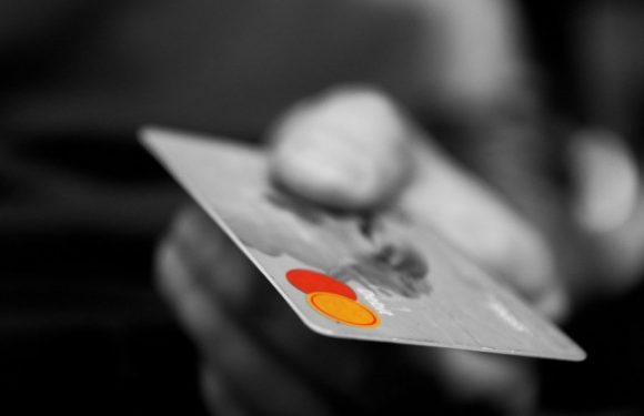 Sur Internet, la fraude à la carte bancaire se démocratise