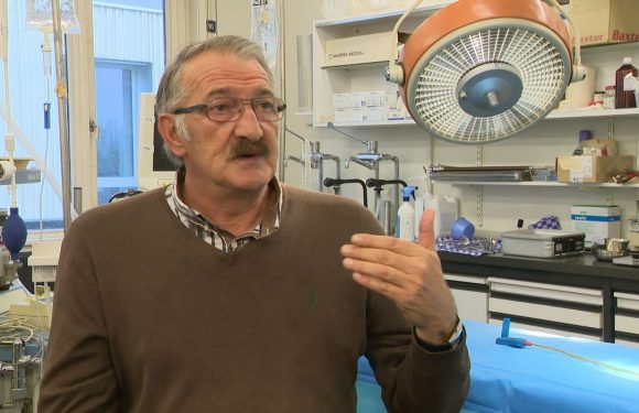 Des greffes d&rsquo;organes de porcs chez l&rsquo;homme: ce n&rsquo;est plus de la science-fiction