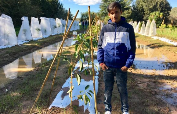 Dans les Pouilles, des initiatives agricoles pour lutter contre l&rsquo;exploitation des migrants