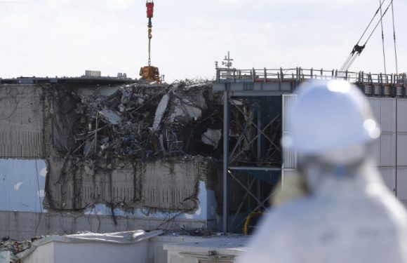 Fukushima: Un robot touche pour la première fois du combustible fondu