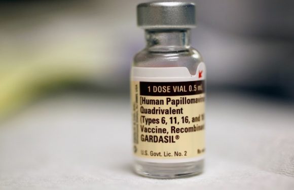 Cancer du col de l&rsquo;utérus: Généraliser la vaccination et le dépistage pourrait éradiquer la maladie