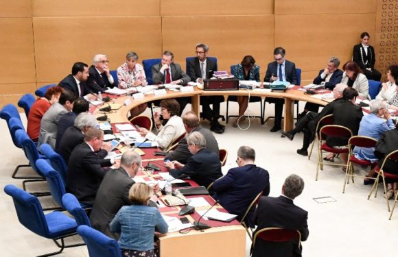 Affaire Benalla: La commission d&rsquo;enquête sénatoriale demande des poursuites contre Benalla et Crase pour «faux témoignage»