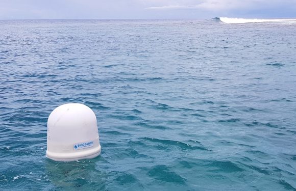 Grasse: Une station météo sous-marine prédit l’avenir pour les poissons d’élevage