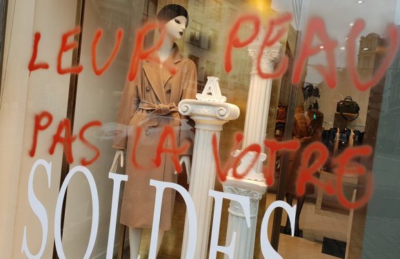 Lille: Quatre militants antispécistes déférés vendredi pour des dégradations de commerces