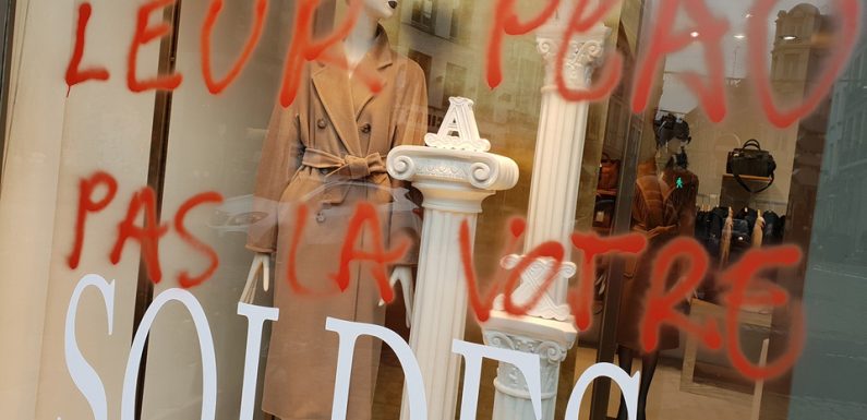 Lille: Quatre militants antispécistes déférés vendredi pour des dégradations de commerces