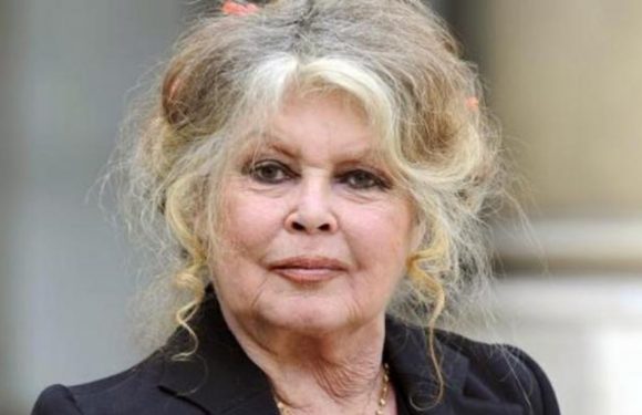 AUDIO. «Minute Papillon!»: Brigitte Bardot et la politique, le rappeur Médine, Booba et la laïcité