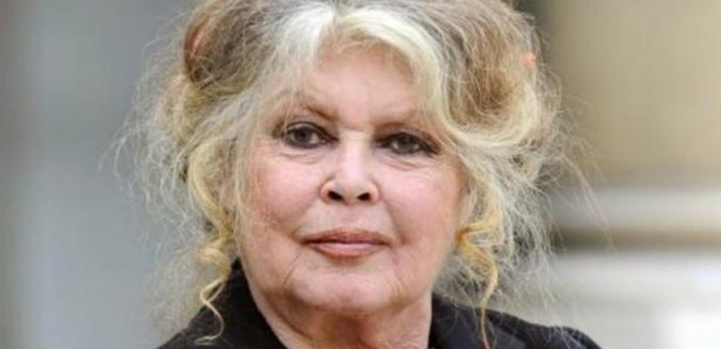 AUDIO. «Minute Papillon!»: Brigitte Bardot et la politique, le rappeur Médine, Booba et la laïcité