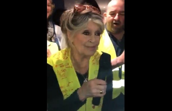 «Ne lâchez rien !»… La visite surprise de Brigitte Bardot à une réunion de «gilets jaunes»