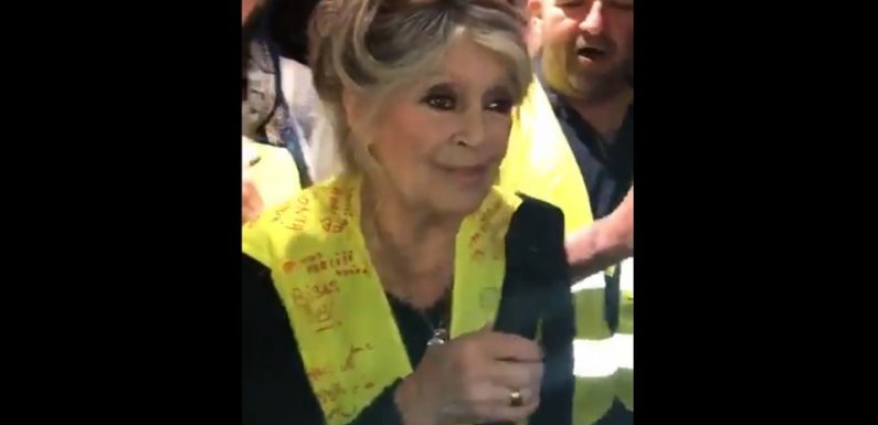 «Ne lâchez rien !»… La visite surprise de Brigitte Bardot à une réunion de «gilets jaunes»