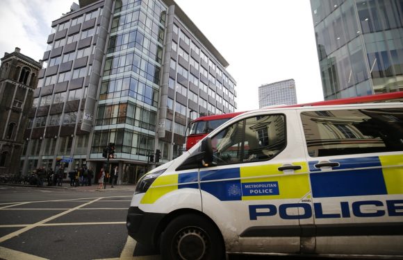 Londres: Un nouveau-né abandonné dans un parc, la police lance un appel à témoins