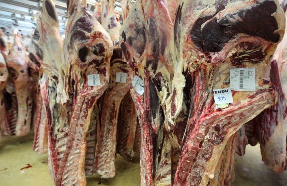 Viande avariée polonaise: Comment le lot suspect a été repéré avant sa commercialisation en Ille-et-Vilaine ?