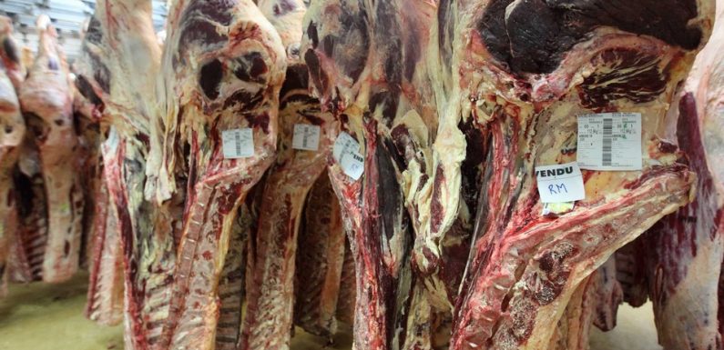 Viande avariée polonaise: Comment le lot suspect a été repéré avant sa commercialisation en Ille-et-Vilaine ?