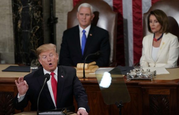 VIDEO. Etats-Unis: Dans un pays plus divisé que jamais, Trump tente un ton rassembleur