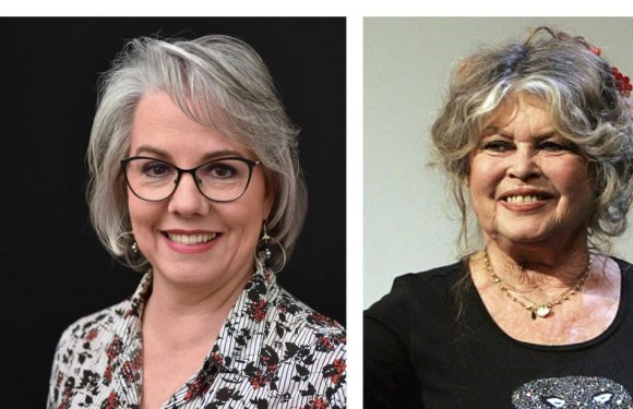 AUDIO: «Minute Papillon!»: Brigitte Bardot, Jacline Mouraud et les «gilets jaunes», deux lamas se font la belle à Montauban