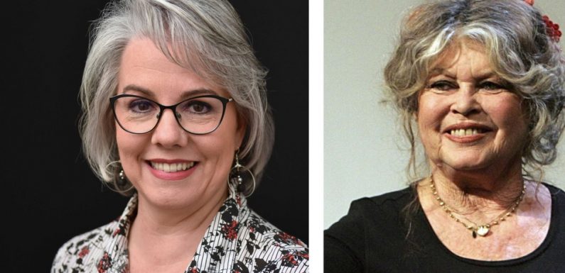 AUDIO: «Minute Papillon!»: Brigitte Bardot, Jacline Mouraud et les «gilets jaunes», deux lamas se font la belle à Montauban