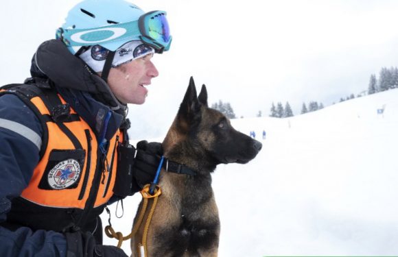 Avalanches: Météo France place la Haute-Savoie en vigilance orange